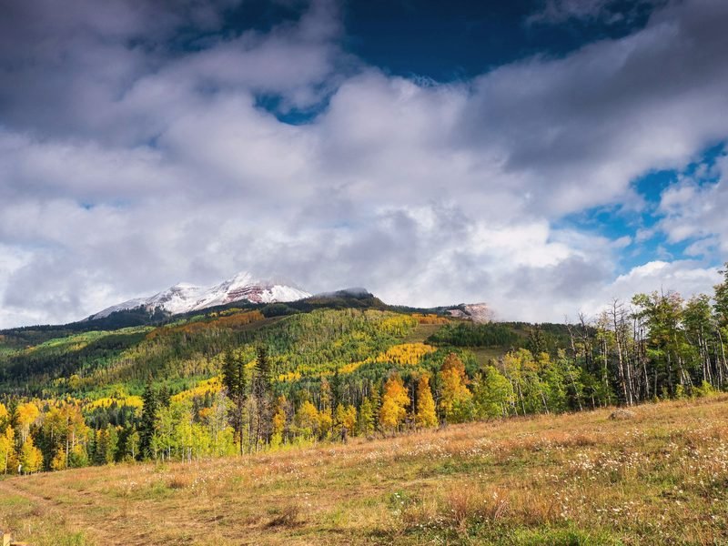 Autumn aspens below a mountain in the San Juans