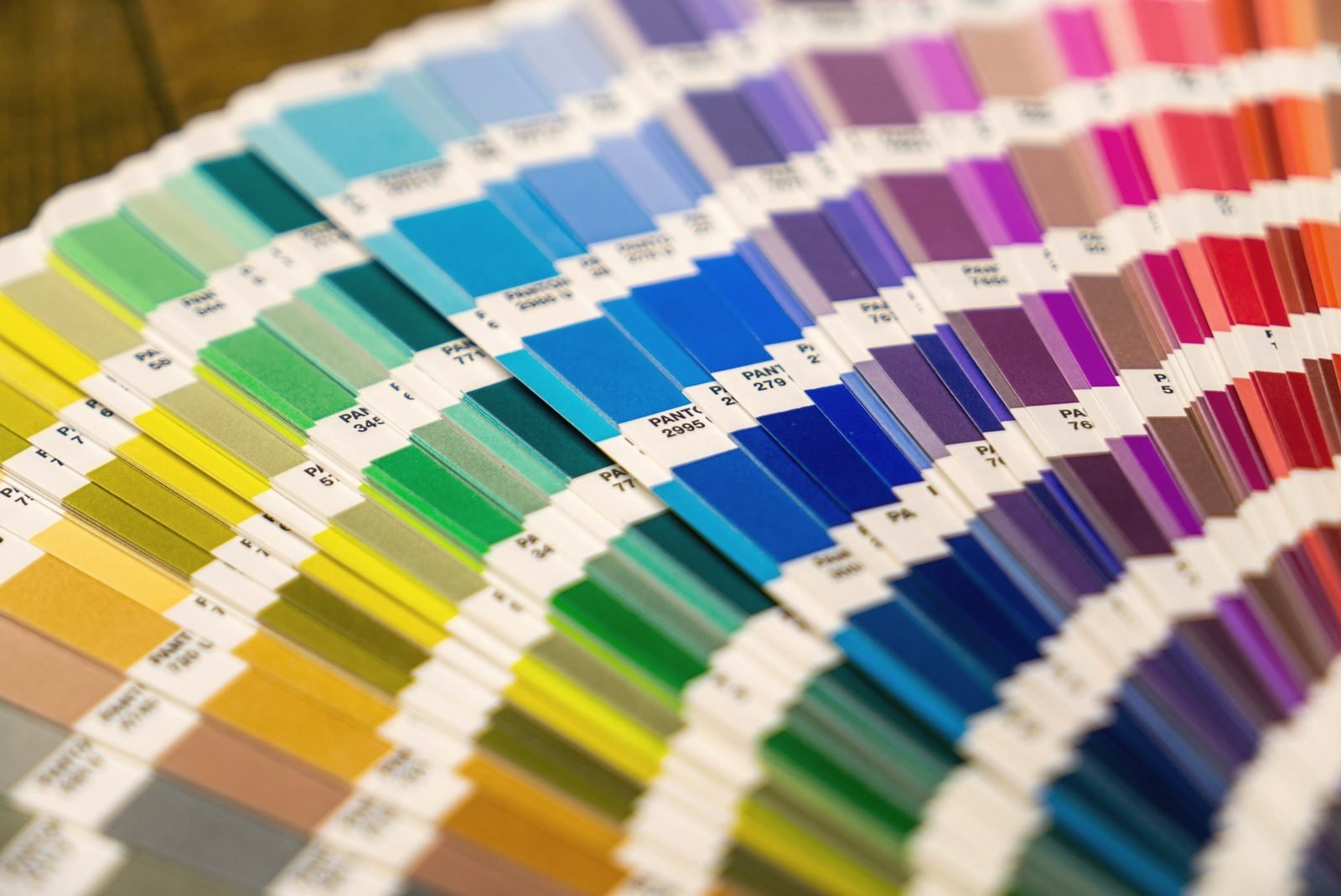 A swatch book fanned open across the full color spectrum